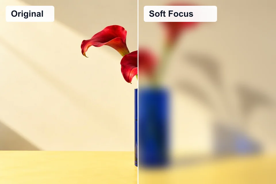Original photo on the left; soft focus effect on the right.