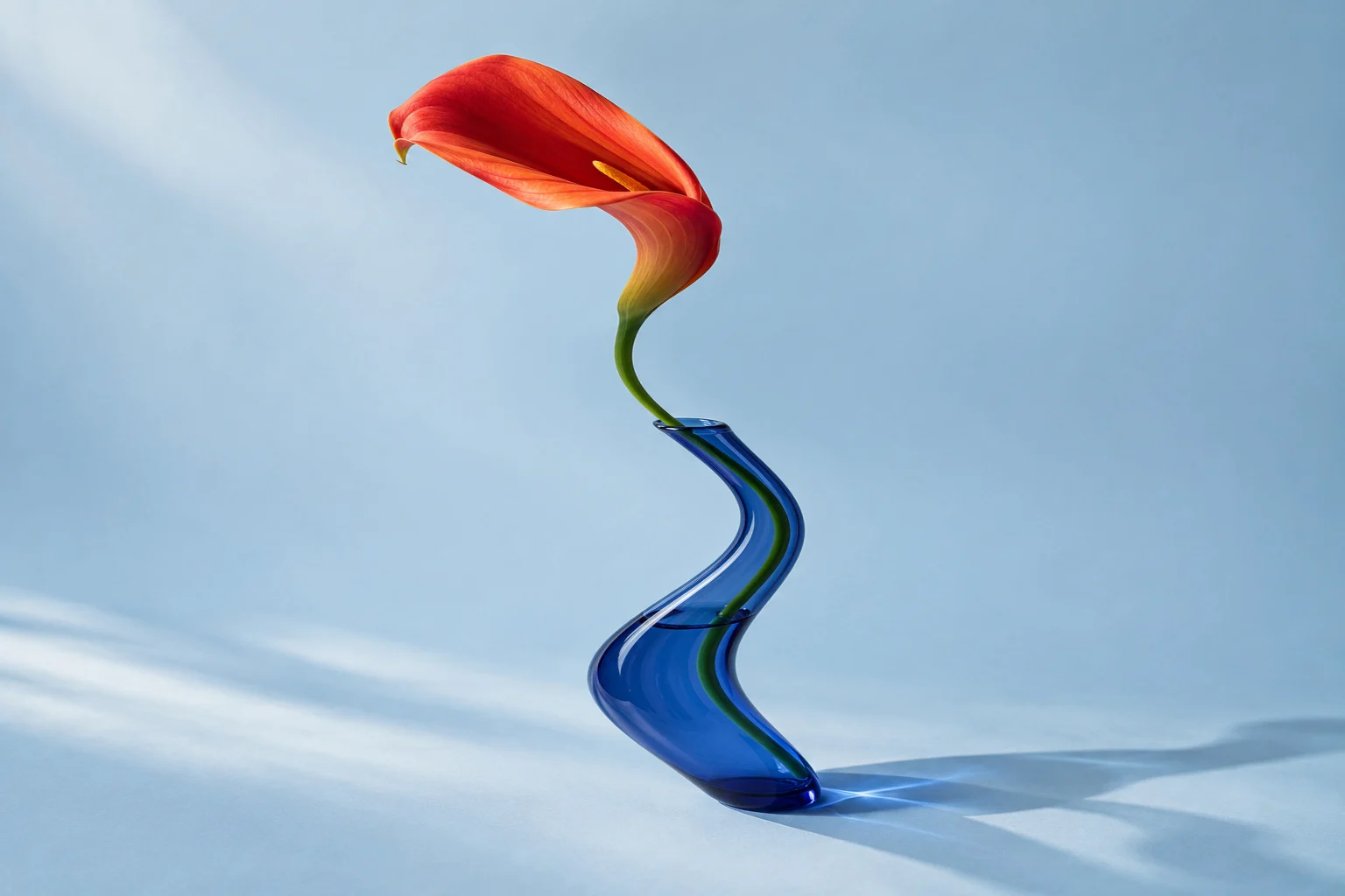 Red calla lily and blue vase bent into horizontal waves with the image distorter