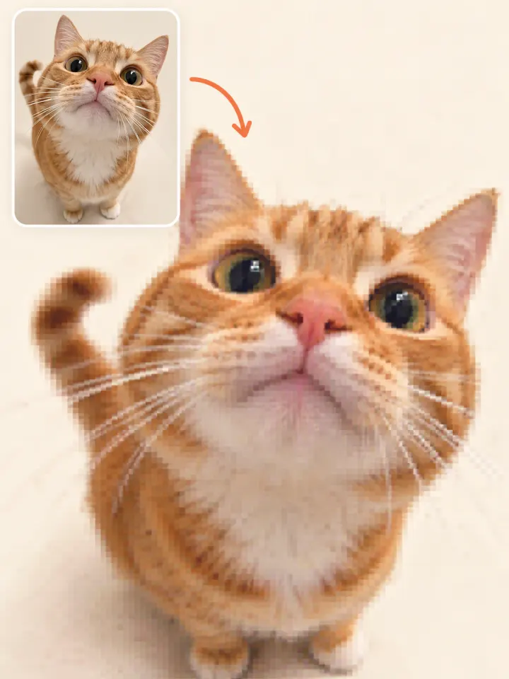 Tabby cat comparison illustrating sharp detail and a blocky low quality look.