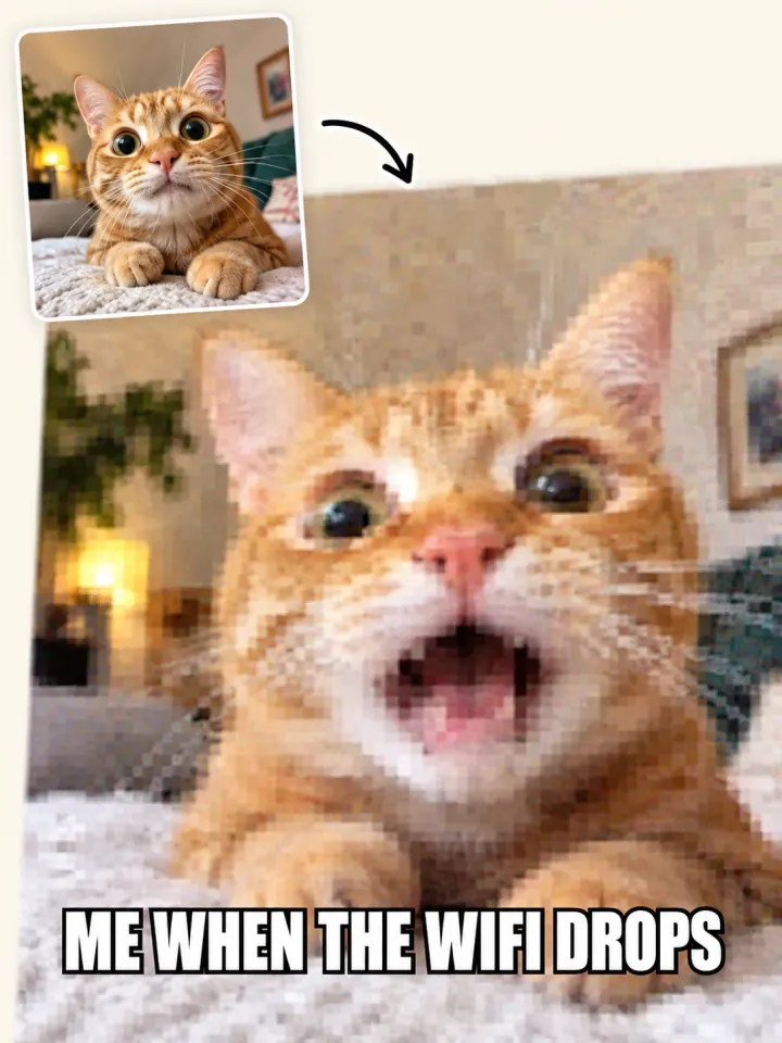 A cat, crunchy blocks, and “me when the wifi drops”.