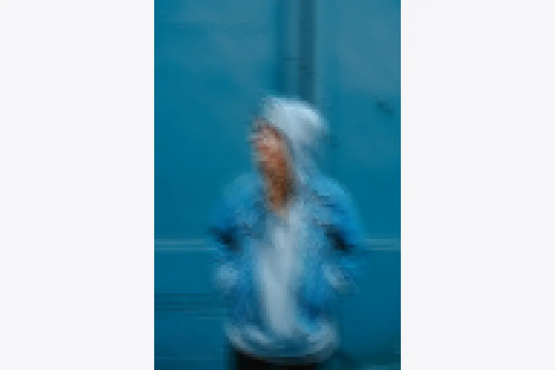 Illustrative whole-photo meme blur example